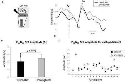 Partial Unweighting in Obese Persons Enhances Tactile Transmission From the Periphery to Cortical Areas: Impact on Postural Adjustments